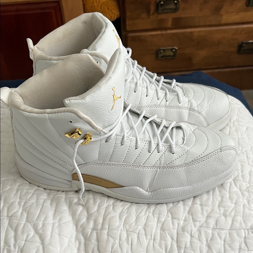 Air Jordan 12 Retro Phantom Sneakers, Size 12